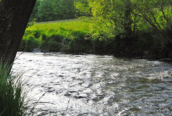 The Weisser Regen in Bavaria, Germany. Flyfishing, angeln, danica dudes, fliegenfischen