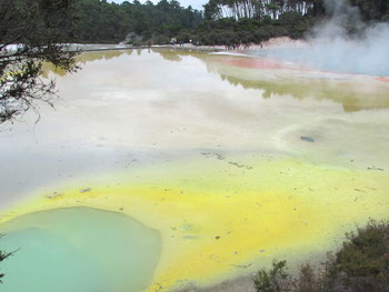”Artist's Palette" Wai-O-Tapu