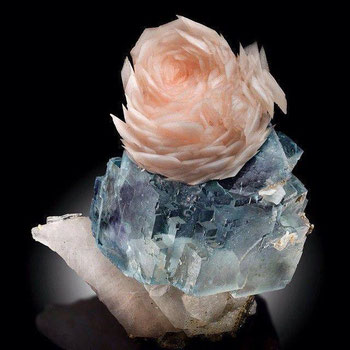 Download Gedanken geheimnis sprueche For Android