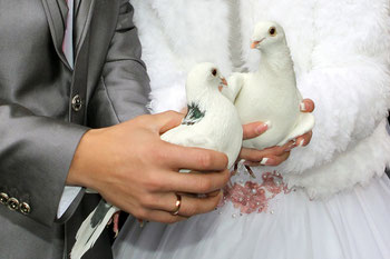 <img src=“Bilddatei.jpg“ alt=weißes Taubenpaar in der Hand von Braut und Bräutigam>