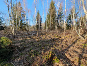 Foto: Bacherner Moos (Claudius Birke) 