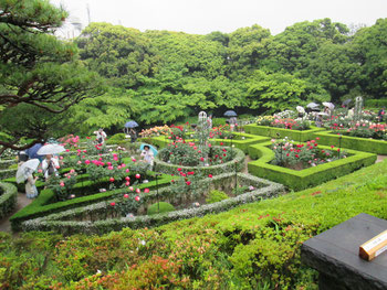 見事に整った庭園に大輪の薔薇が咲き誇っていました