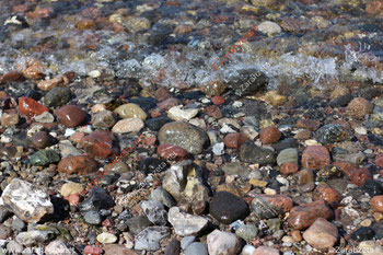 Bunte Steine am Strand als Naturmosaik