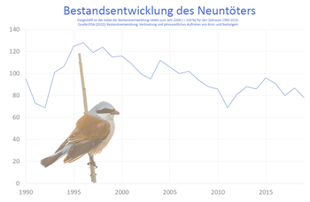 Bestandsentwicklung des Neuntöters von 1990-2019 in Deutschland.