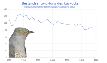Grafik zur Bestandsentwicklung des Kuckucks in Deutschland von 1990 bis 2019.