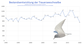Bestandsentwicklung der Trauerseeschwalbe in Deutschland von 1990-2020.