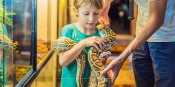Kleine dierentuin nederland