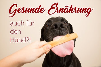 Hund_gesund_Futter_Nebenabfälle_Ernährung