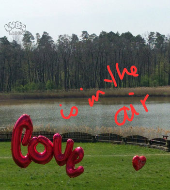 Heiratsantrag mit Folienballosn Love XXL mit Ballongas