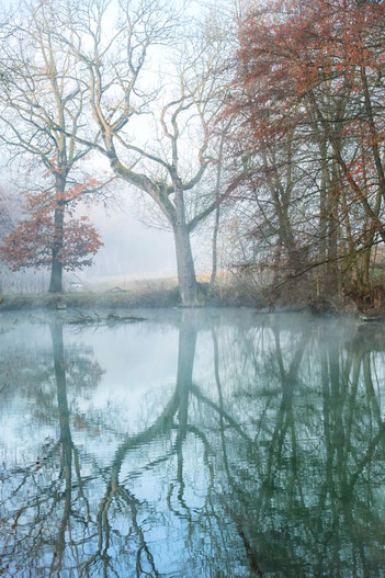 Natur erfreut meine grauen Zellen - Motiv aufgenommen in meiner Gemeinde.
