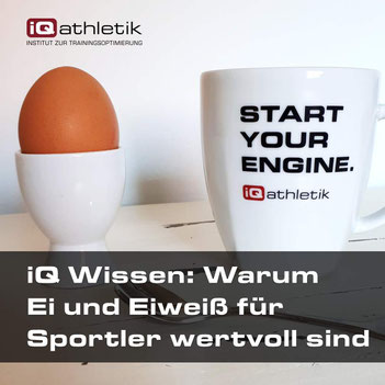 Warum Ei und Eiweiß für Sportler wertvoll sind