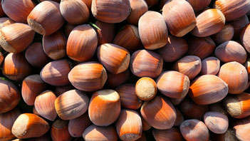 Beaucoup de noisette