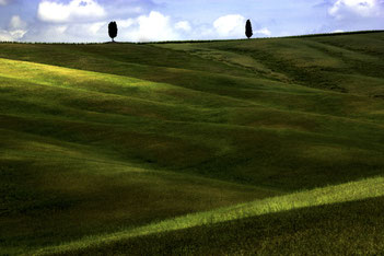 Foto della Val d'Orcia Siena Toscana con campi verdi