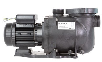 Sta-Rite SuperFlo von Pentair Filterpumpe Filteranlage Poolpumpe