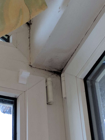 Schimmel Im Bad Und Schlafzimmer Sachverständiger Beuth