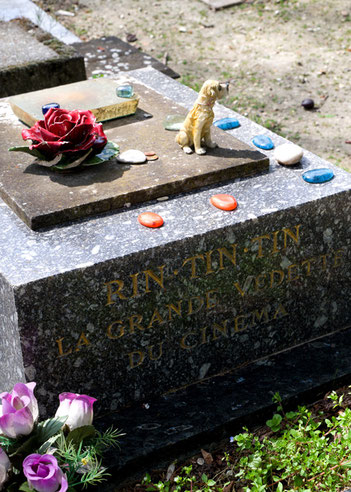 »Friedhof für Hunde und andere Haustiere«, Paris
