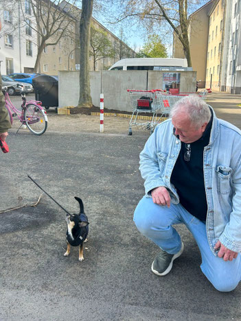 Ansprechpartner Eric spricht auch mit Hunden.