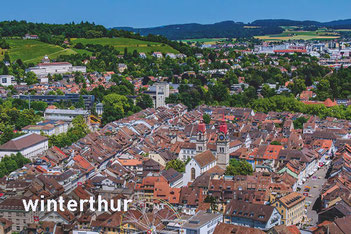 Magnet Winterthur