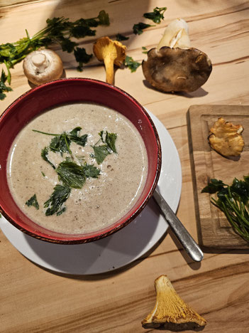 Waldpilzcremesuppe in der Suppenschale serviert