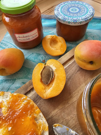 Aprikosenmarmelade selbstgemacht