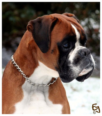 Karlas Papa Duncan von Fausto