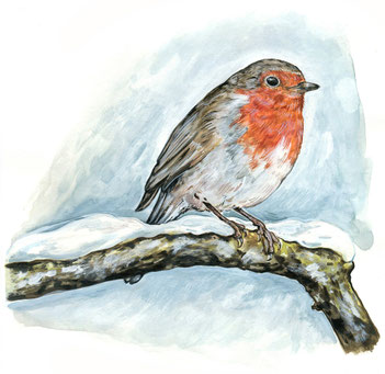 Illustration Rotkehlchen im Schnee © Caroline Ronnefeldt