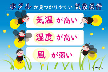 NEW（更新情報）