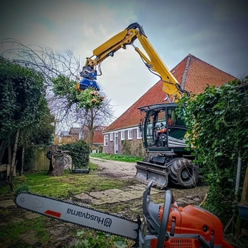 Bosbeheer is een belangrijk onderdeel van onze diensten