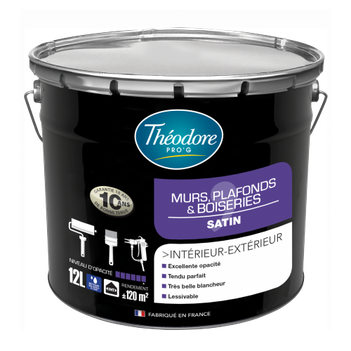 Peinture THEODORE PRO'G Murs et Plafonds satin