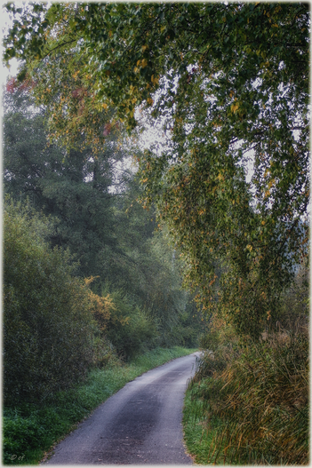 Eine Fototour durch den Herbst