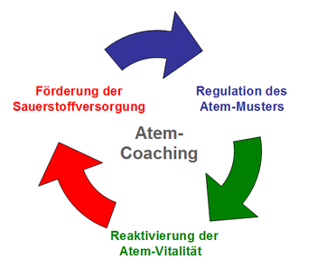 Kreis aus Pfeilen für sich gegenseitig unterstützende SBC Atem-Interventionen