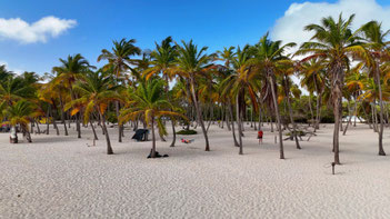 Ruhiger Strandabschnitt auf der Cayo Sombrero