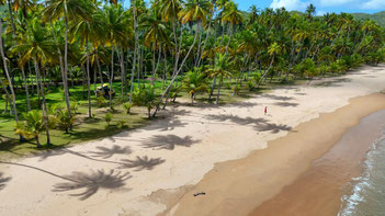 Bilderbuchstrand in Venezuela - Playa Chaguaramas