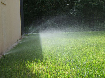 lawn irrigation tips