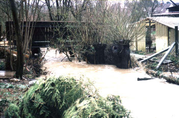 Im März 2002 gab es in Flehingen und Sickingen größere Überschwemmungen durch ein Unwetter. Wir suchen noch Fotos von diesem Unwetter, Ansprechpartner dafür ist Heinrich Kowarsch.