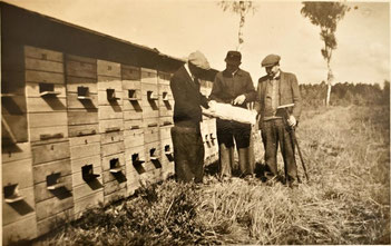Wandern in die Heide in den 1950er Jahren