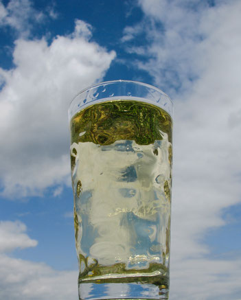 Pfalz Dubbeglas Rekord Bad Dürkheim Wein Brauchtum