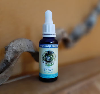 30ml - CHF 28.00