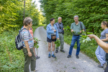 Erster Teil: Blätter sammeln (Foto: B. Budig)