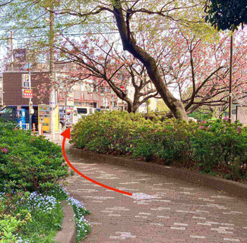 笹塚駅前アクセス１写真