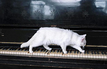 séquence la valse piano capéo