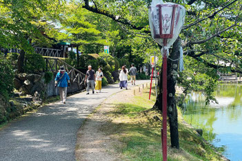 しばたあやめまつり｜新発田あやめ祭り【五十公野公園あやめ園】へと続く遊歩道
