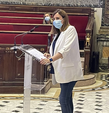 Catalá, en el Pleno del Ayuntamiento de Valencia