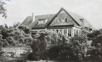 De Houtsnip