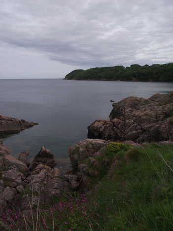 Elberry Cove, Devon, England.