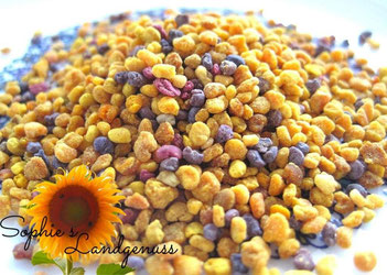 Blütenpollen, Pollen, Bienen, Imker, Honig, Propolis, Eiweiß, Naturprodukt, Naturheilkunde