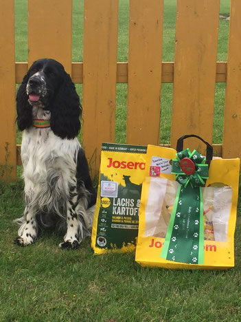 "Jolanthe vom Belauer See" belegt den 2. Platz bei ihrem ersten Rally Obedience Turnier, Foto: Svenja Arendt