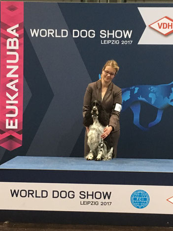 "Jolanthe vom Belauer See" and Svenja Arendt at the World Dog Show 2017, Photo: Svenja Arendt