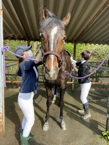 埼玉メンバーさんが馬に乗る理由 乗馬体験満足度no 1 埼玉の乗馬クラブ 埼玉メンバーさんが馬に乗る理由 乗馬体験満足度no 1 埼玉の乗馬クラブ