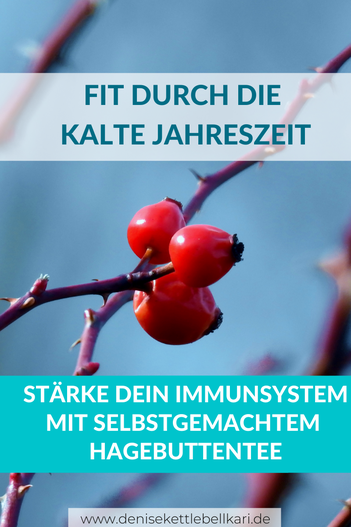 hagebutten, hagebutten tee, hagebutten tee selbst zubereiten, hagebutten trocknen, hagebutten gesund, immunsystem stärken, fit durch die kalte jahreszeit, heilpflanze, gesund bleiben, winter, herbst, vitamin c